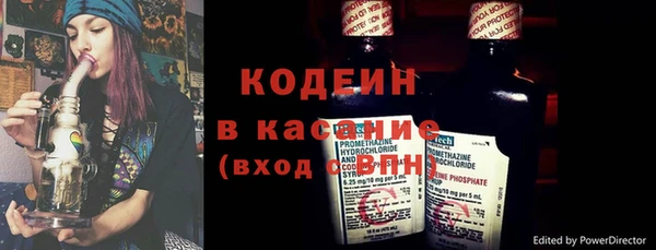 ECSTASY Богданович