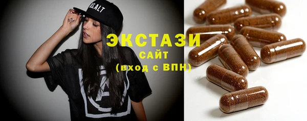 ECSTASY Богданович